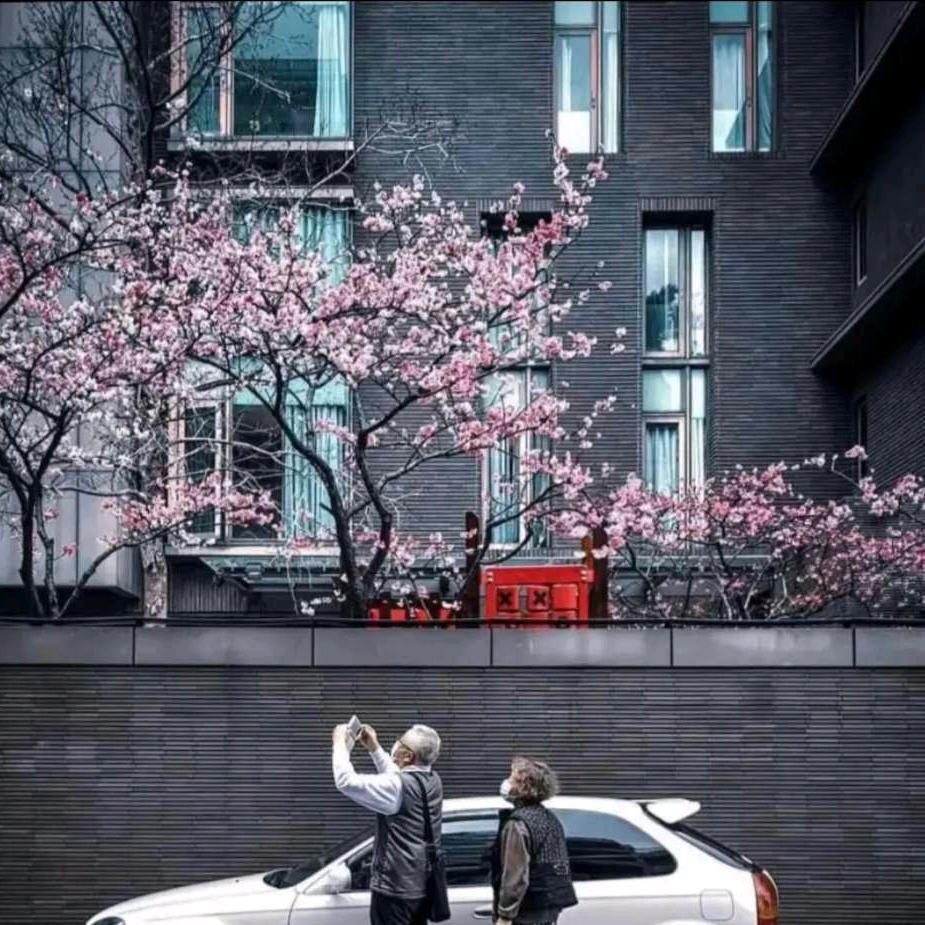 安冉无恙