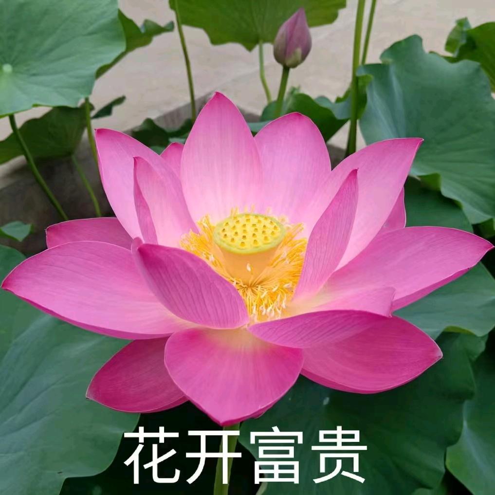 喝酒不一样