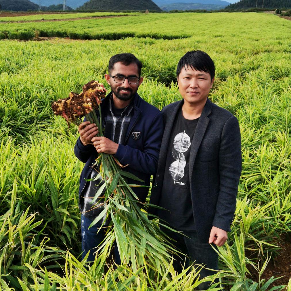 罗平想想姜来农业发展有限公司