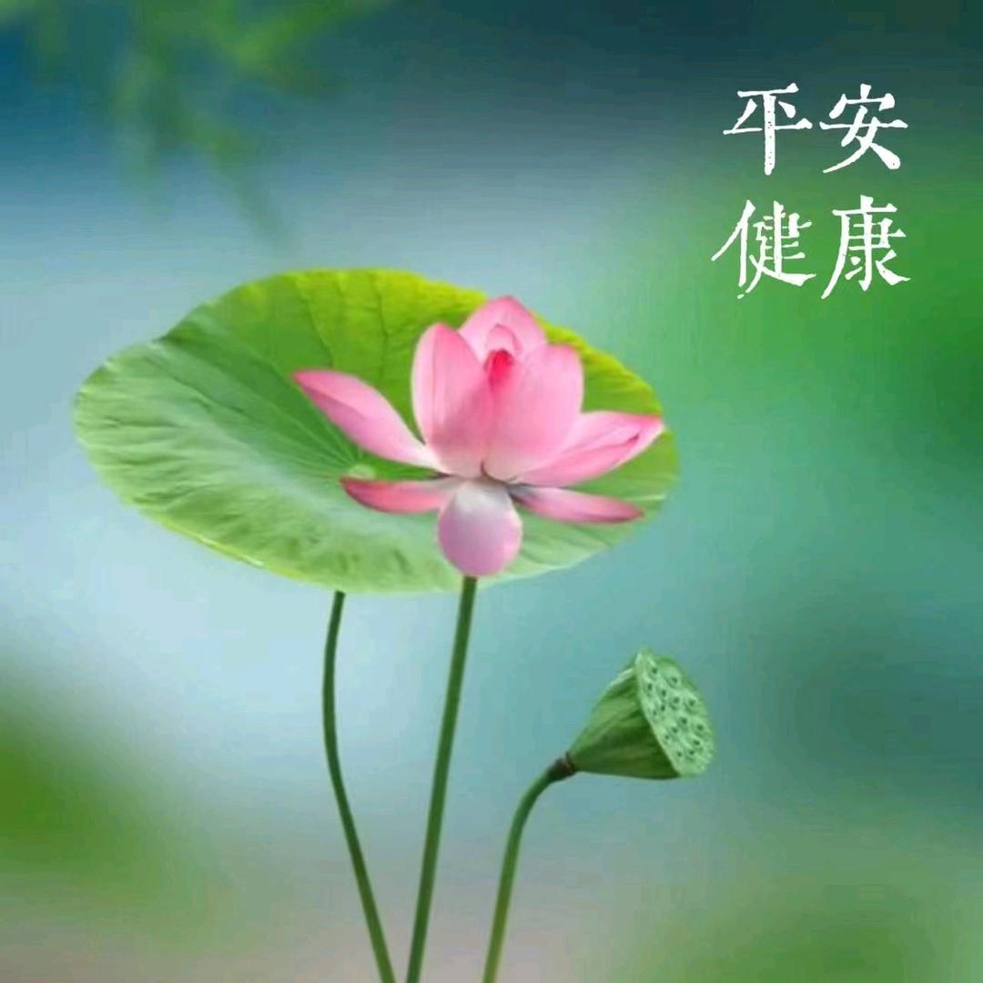 肉汁味鲜肉加工火腿肠