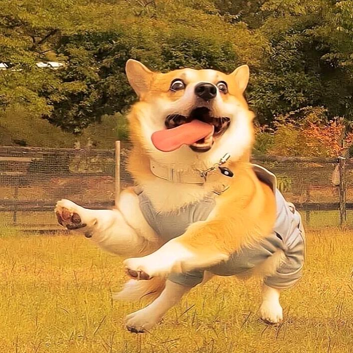 聊的不开心