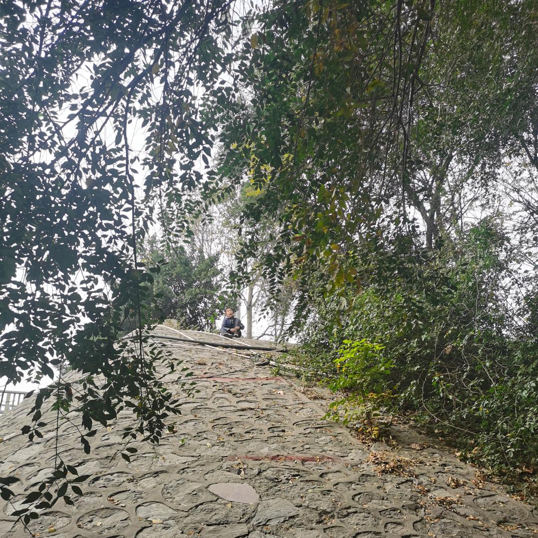 无悔的缥缈