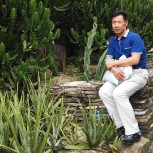 人生如梦