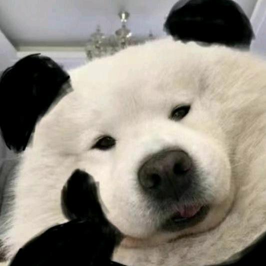理想是什么