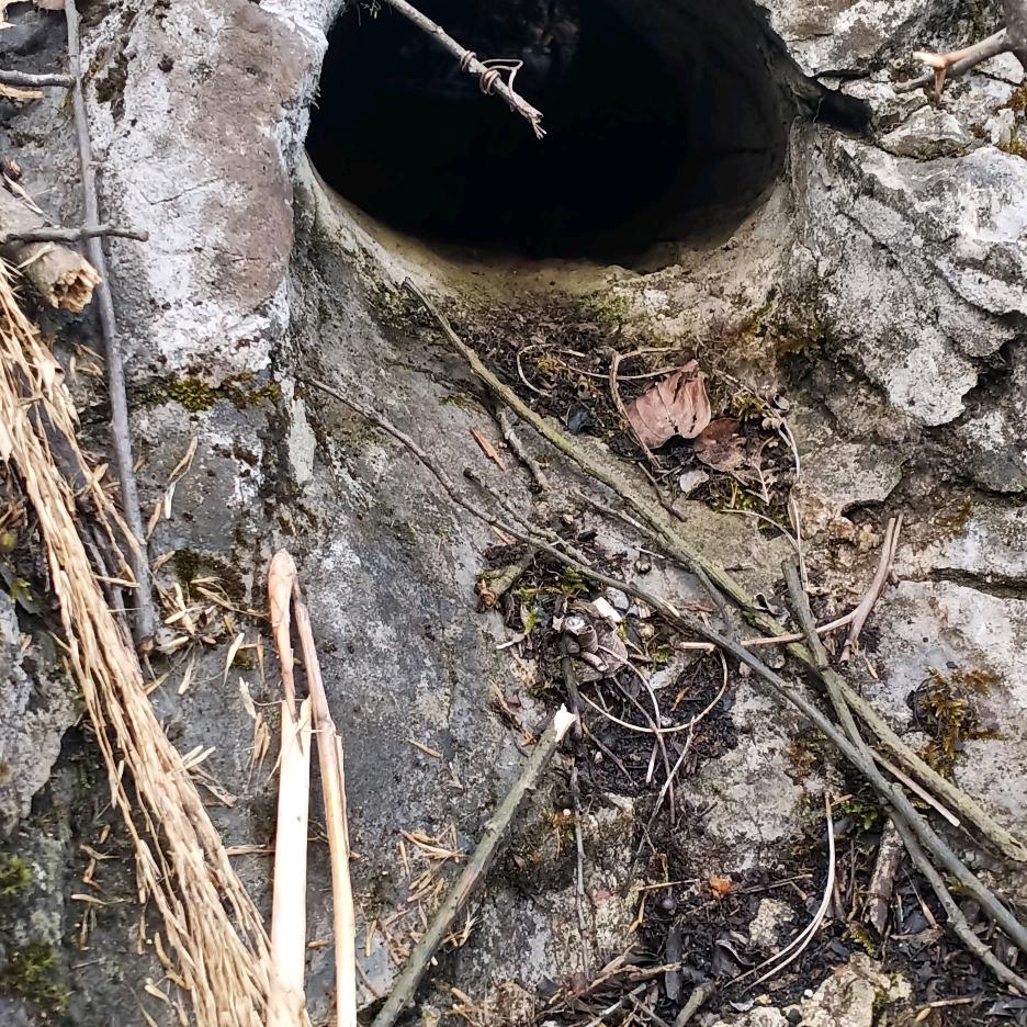 ༄༊࿆做ོ࿆个ོ࿆俗ོ࿆人ོ࿆࿐ོ