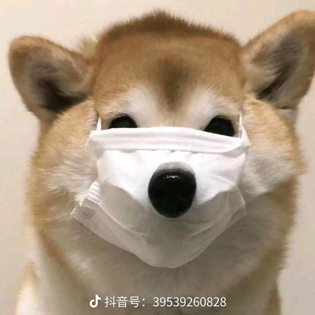 老实人小付