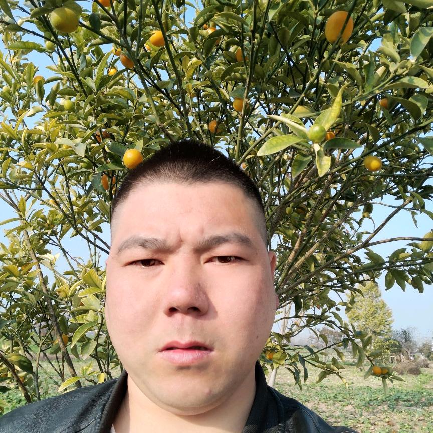 简军