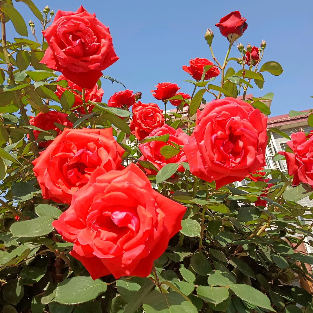 开心就好🌷🌷🌷🌷
