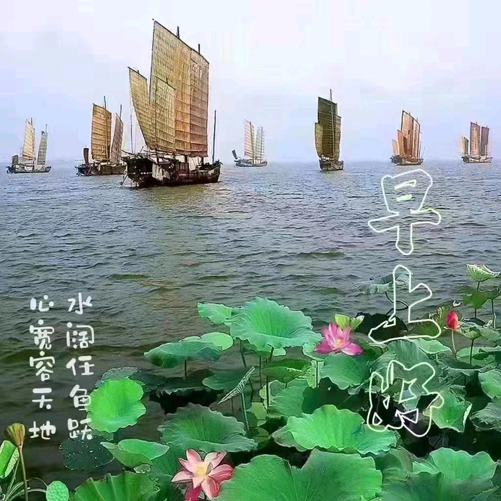 巍巍