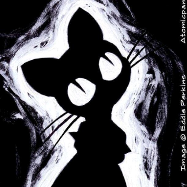 Blackcat（努力过自由行版）