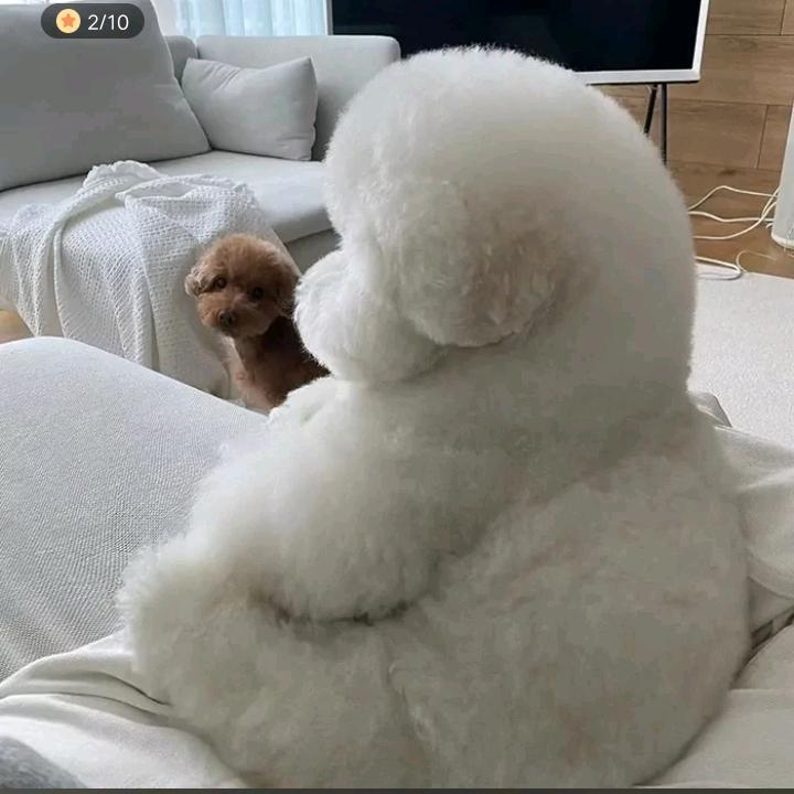 ☜