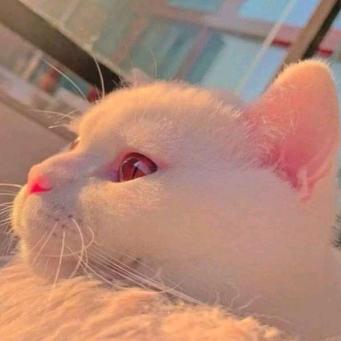 一个靓仔