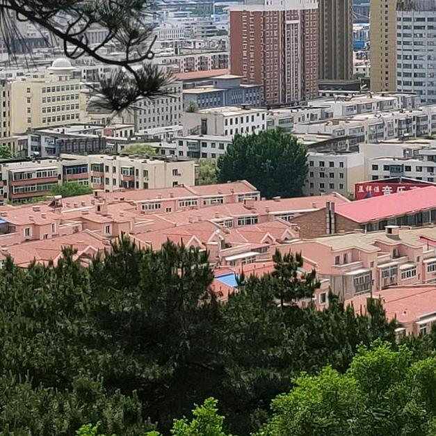 千山暮雪  只影向誰