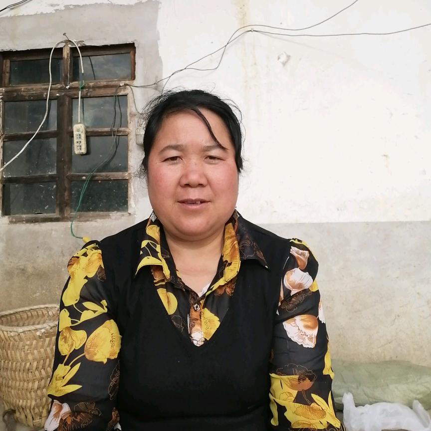 吴姐（聊天主播）