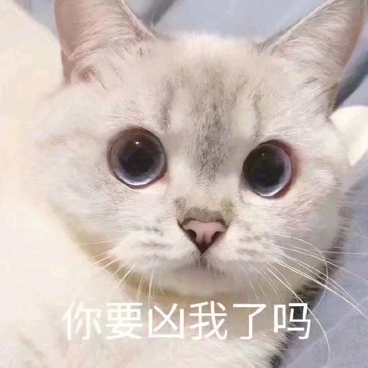 九年义务教育漏网之鱼～