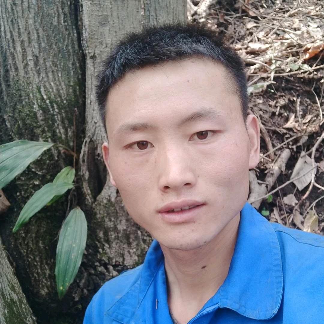 十堰明朝山珍