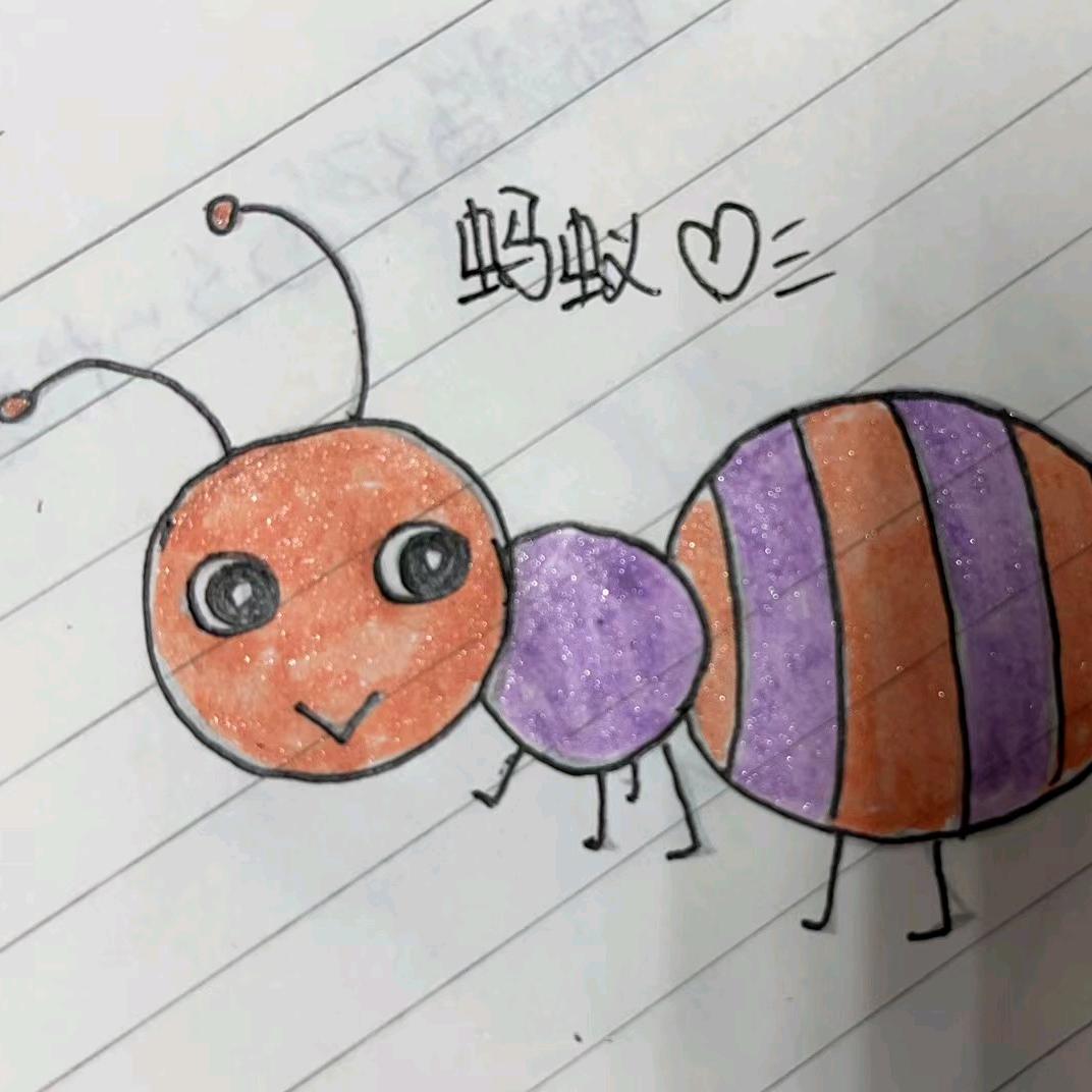 🌈🌈小小小蚂蚁