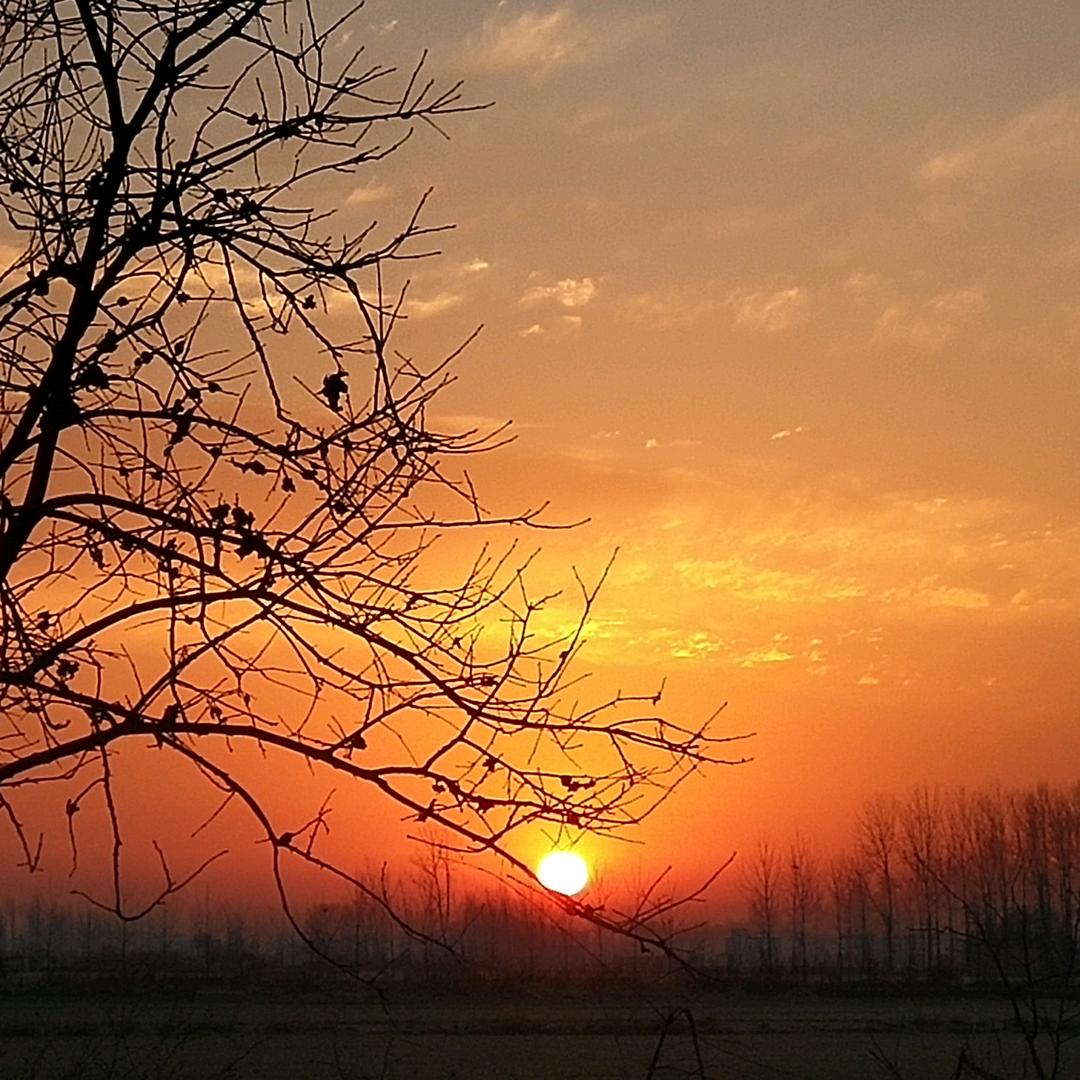 一小一中罗老师托管