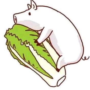 梦幻白菜猪