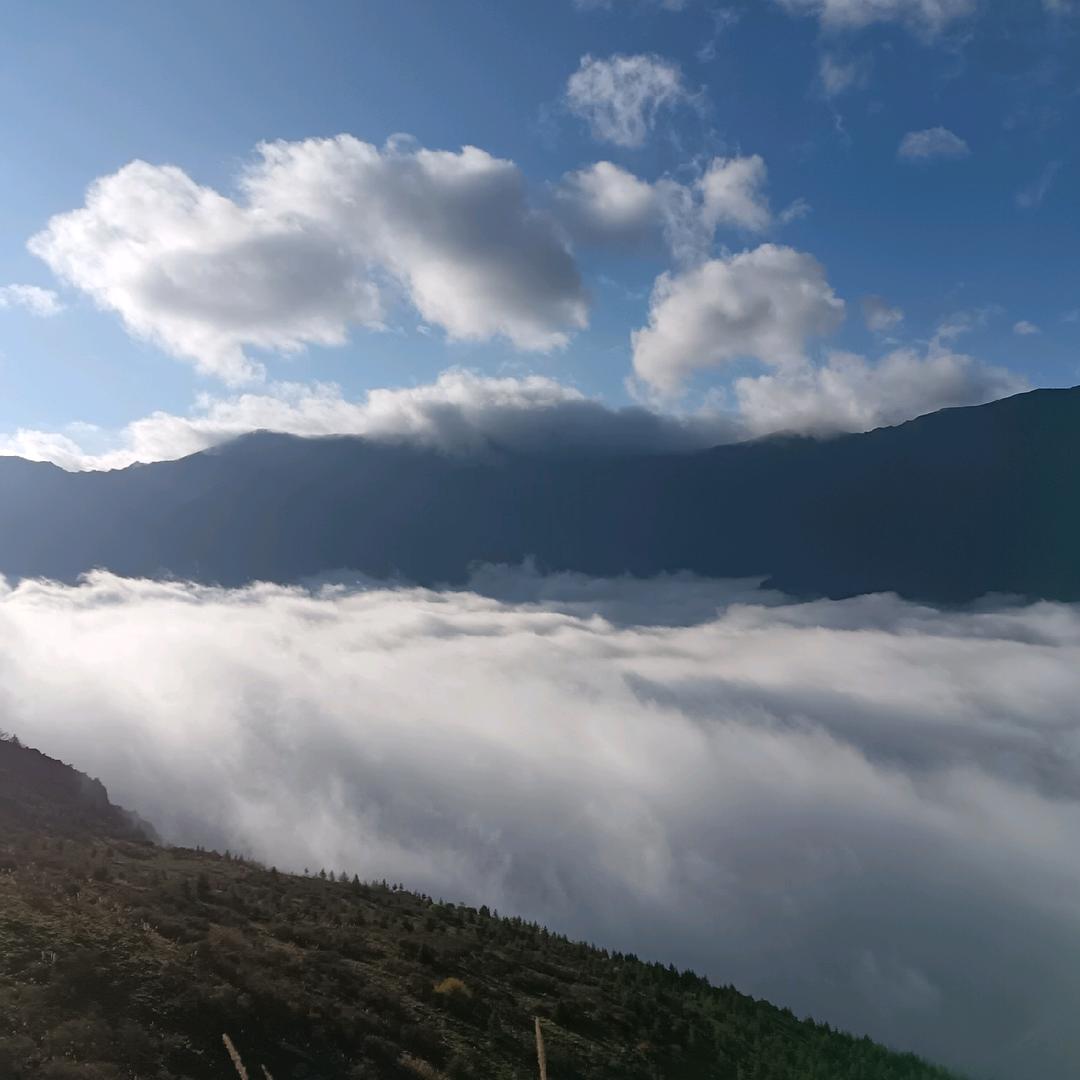 打不赢我就吐口水