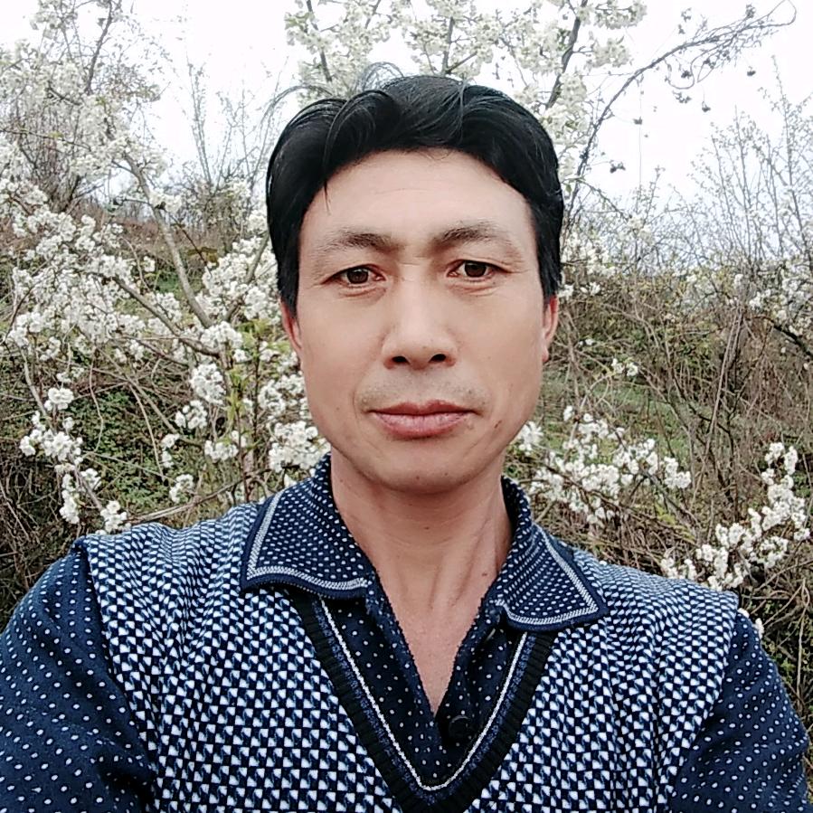 已重置
