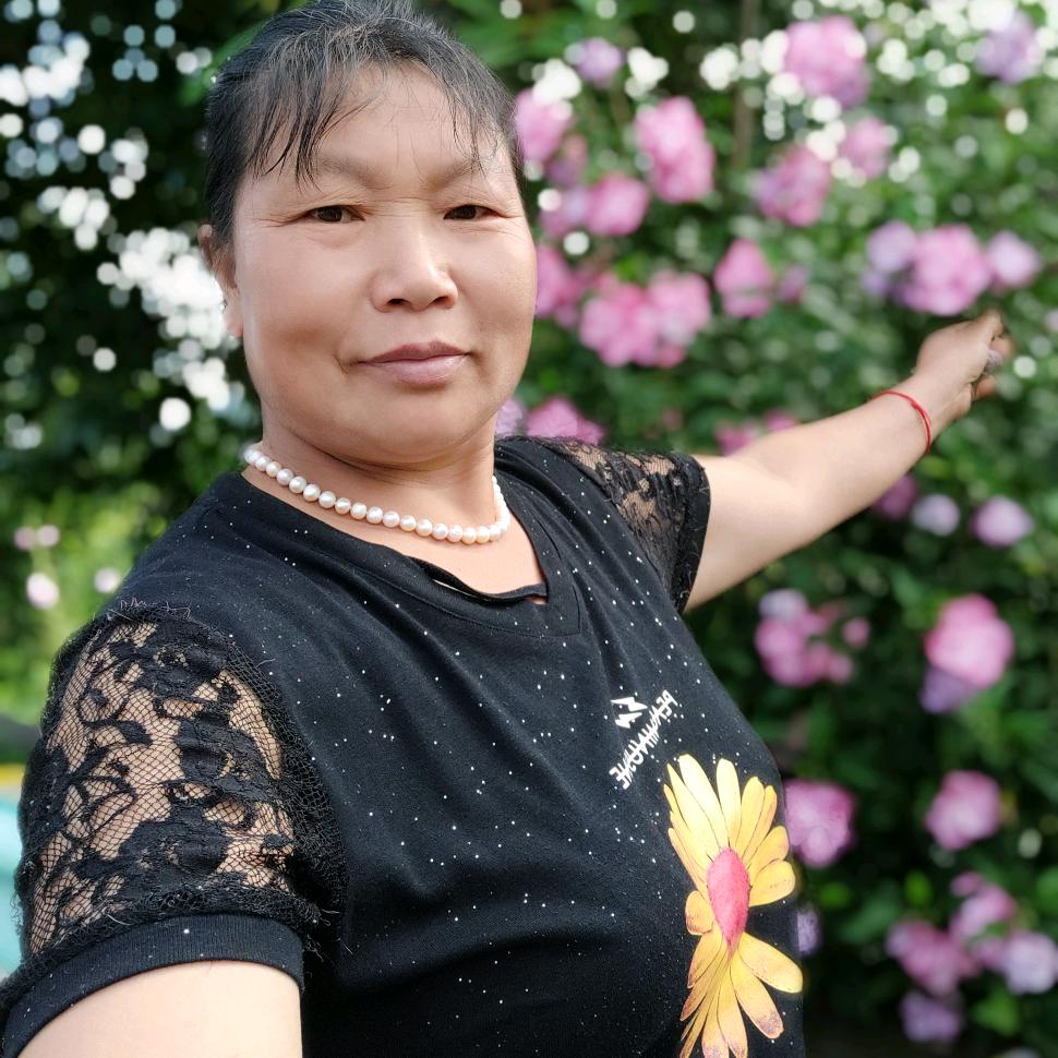 玫瑰骄子