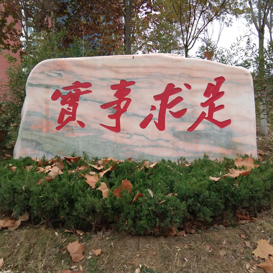 大王的竖敌