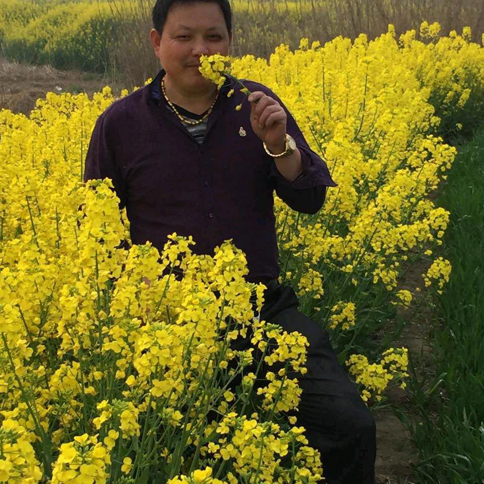 读者。