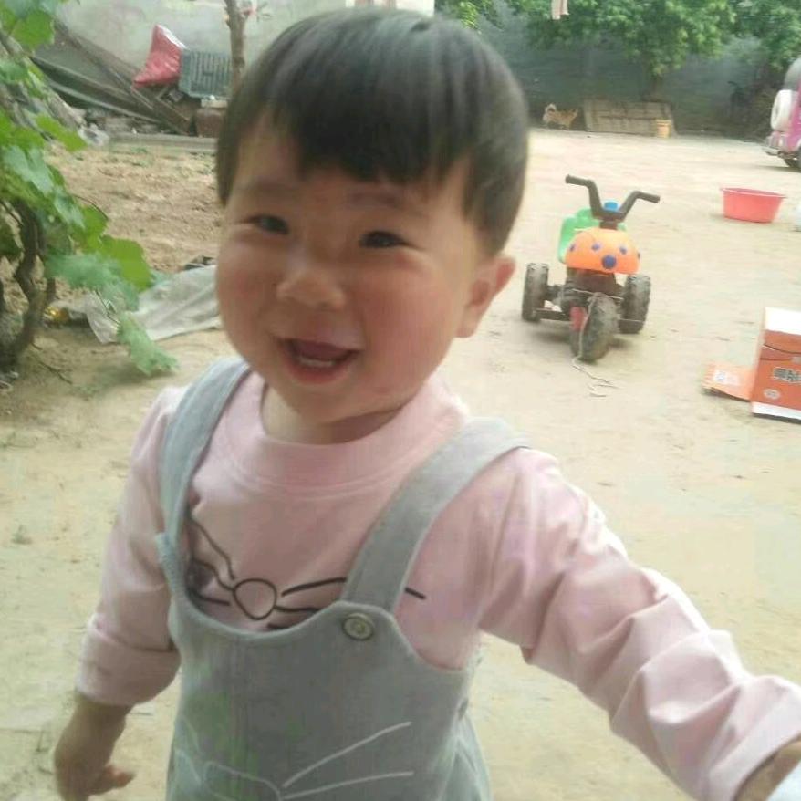 达ꪔ̤̫不了ꪔ̤刘
