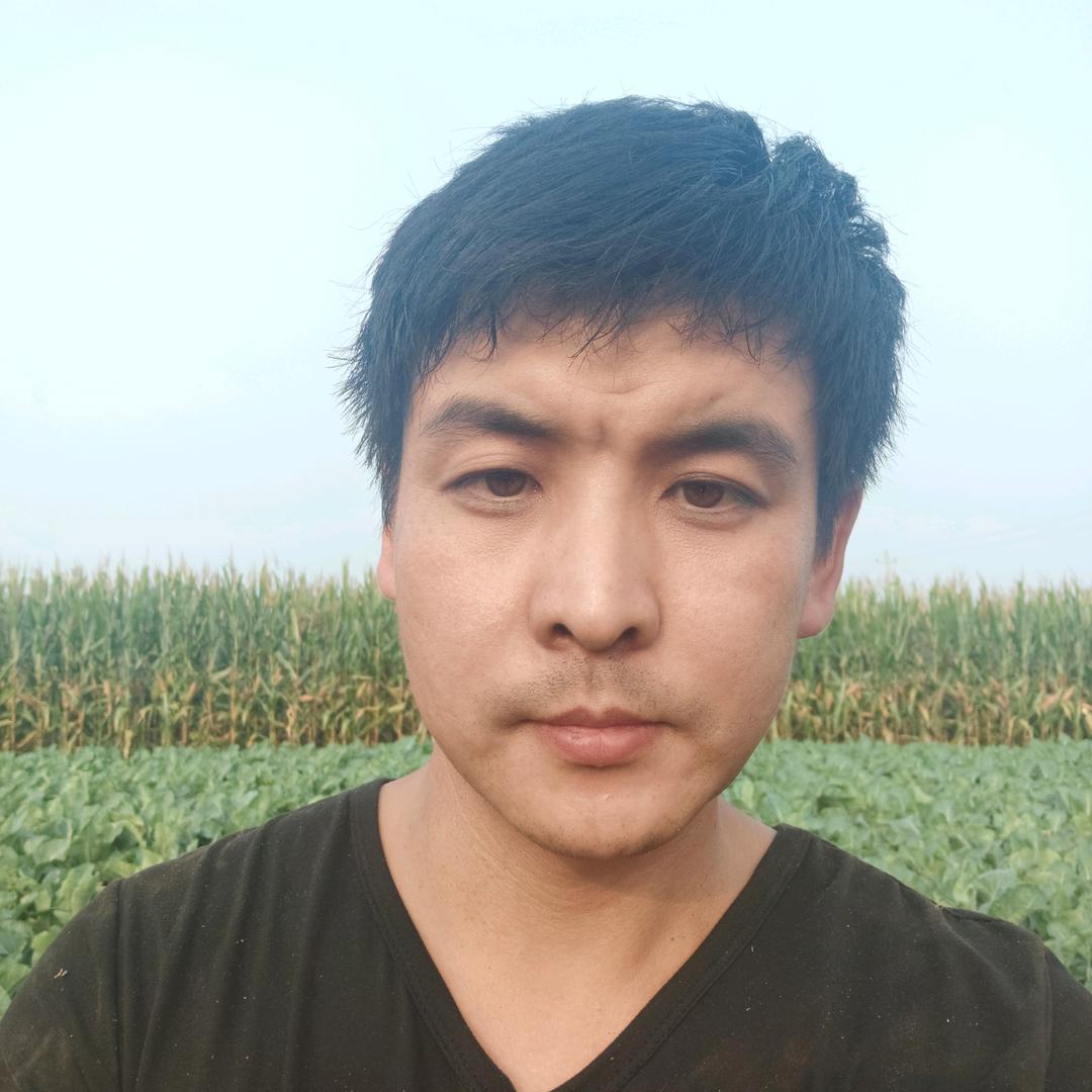 东北黑豆坊