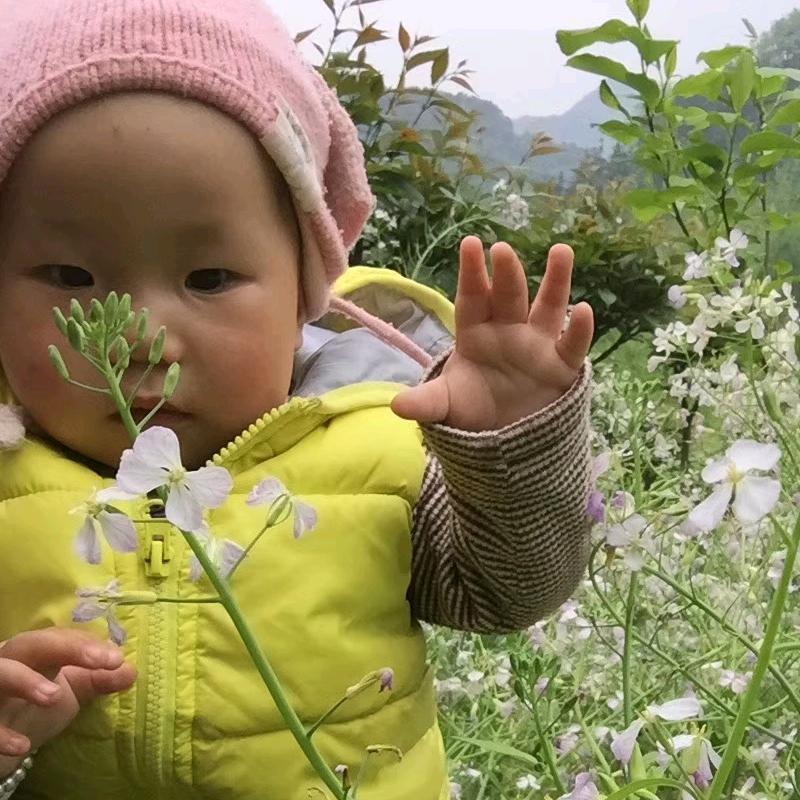 张记静园官方号