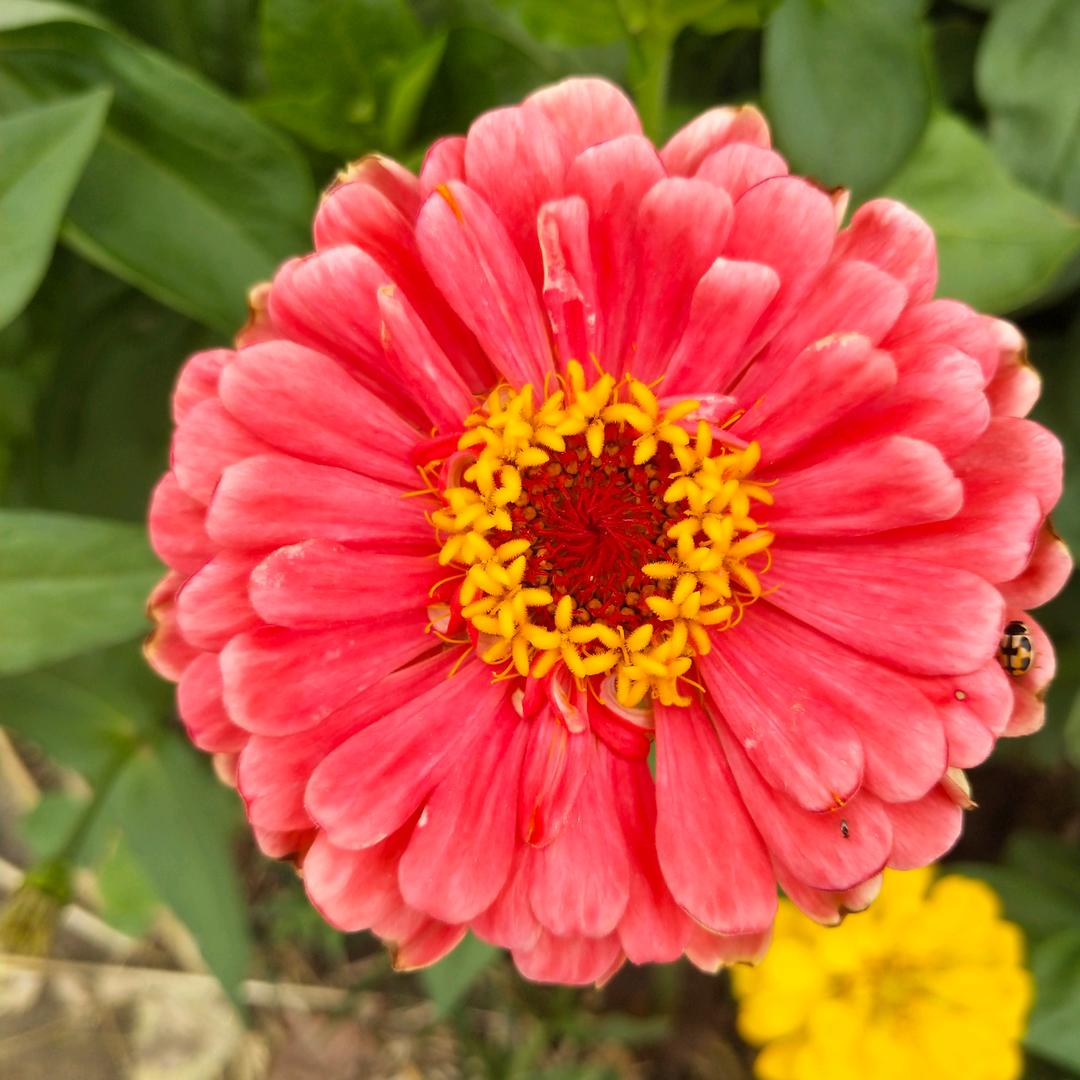 《花好月圆》^O^
