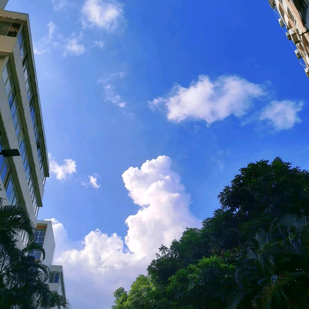 为龙科技工厂店