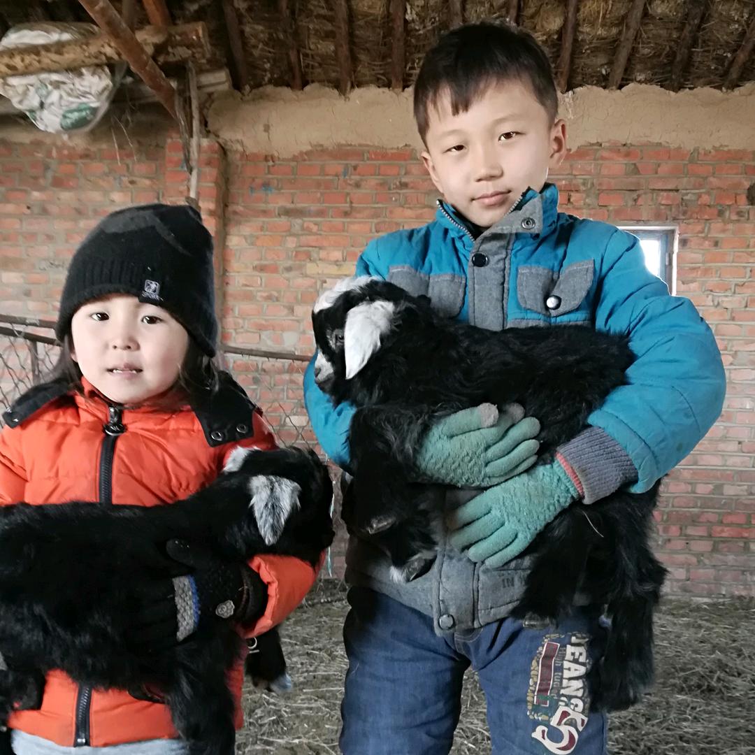 格日乐⭐️