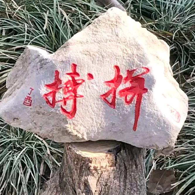 往后余生全是你