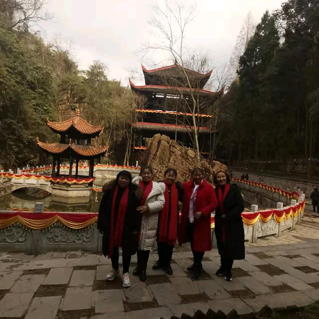 向仍花