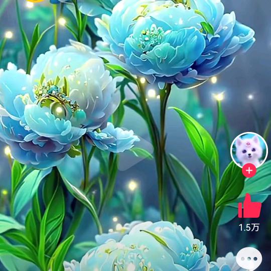 君子兰