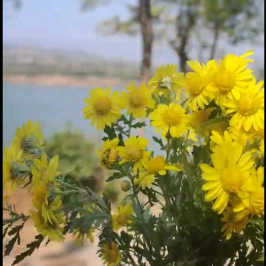 简单快乐（）拒绝私聊:-)