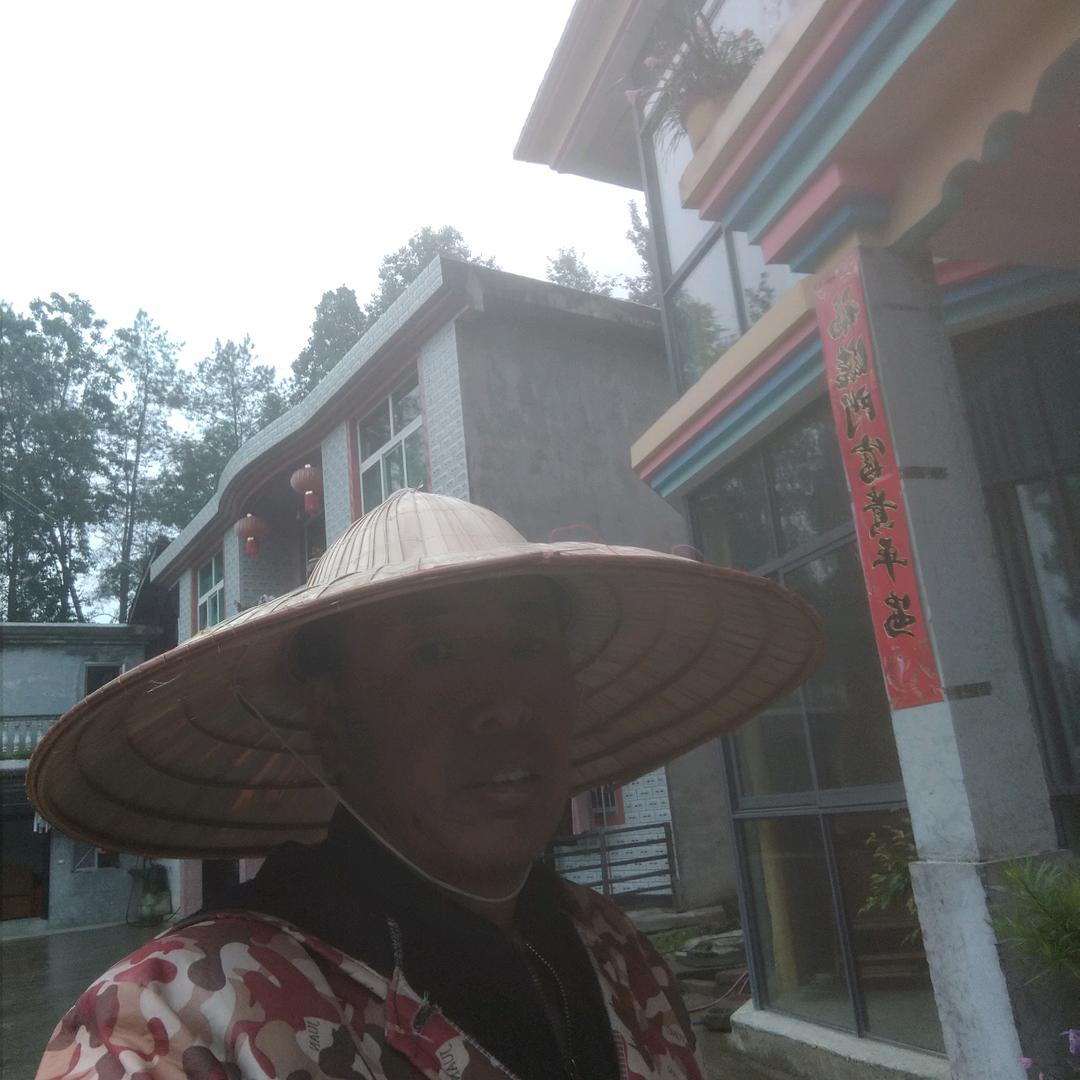 刀客飞毛
