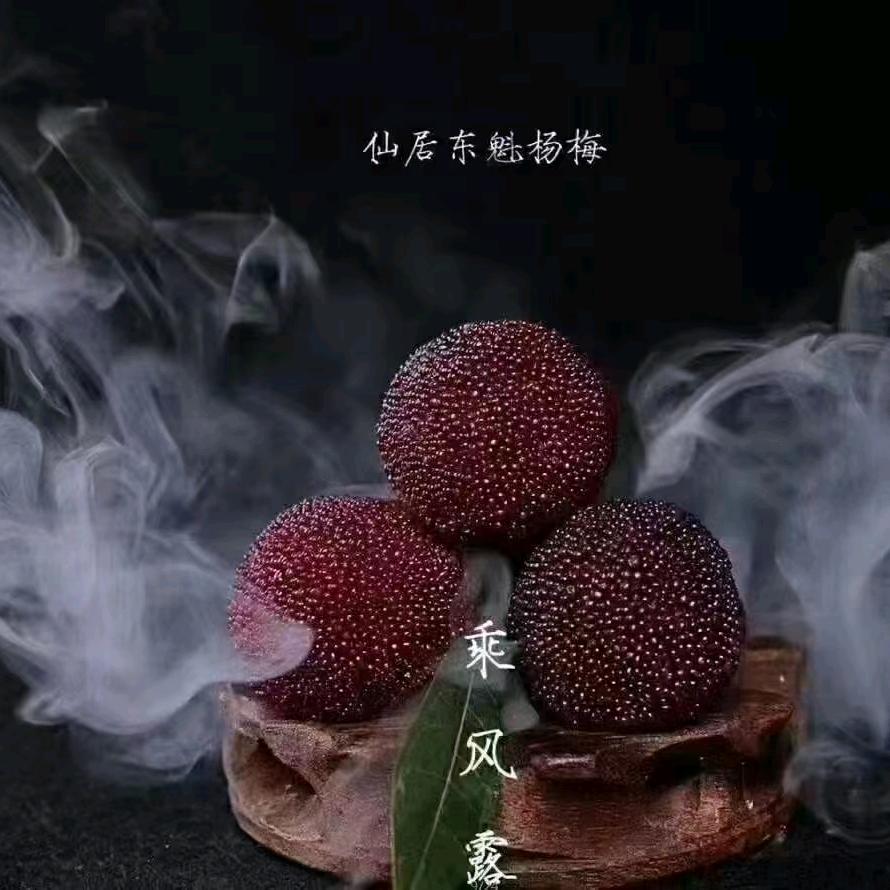 紫色@雪