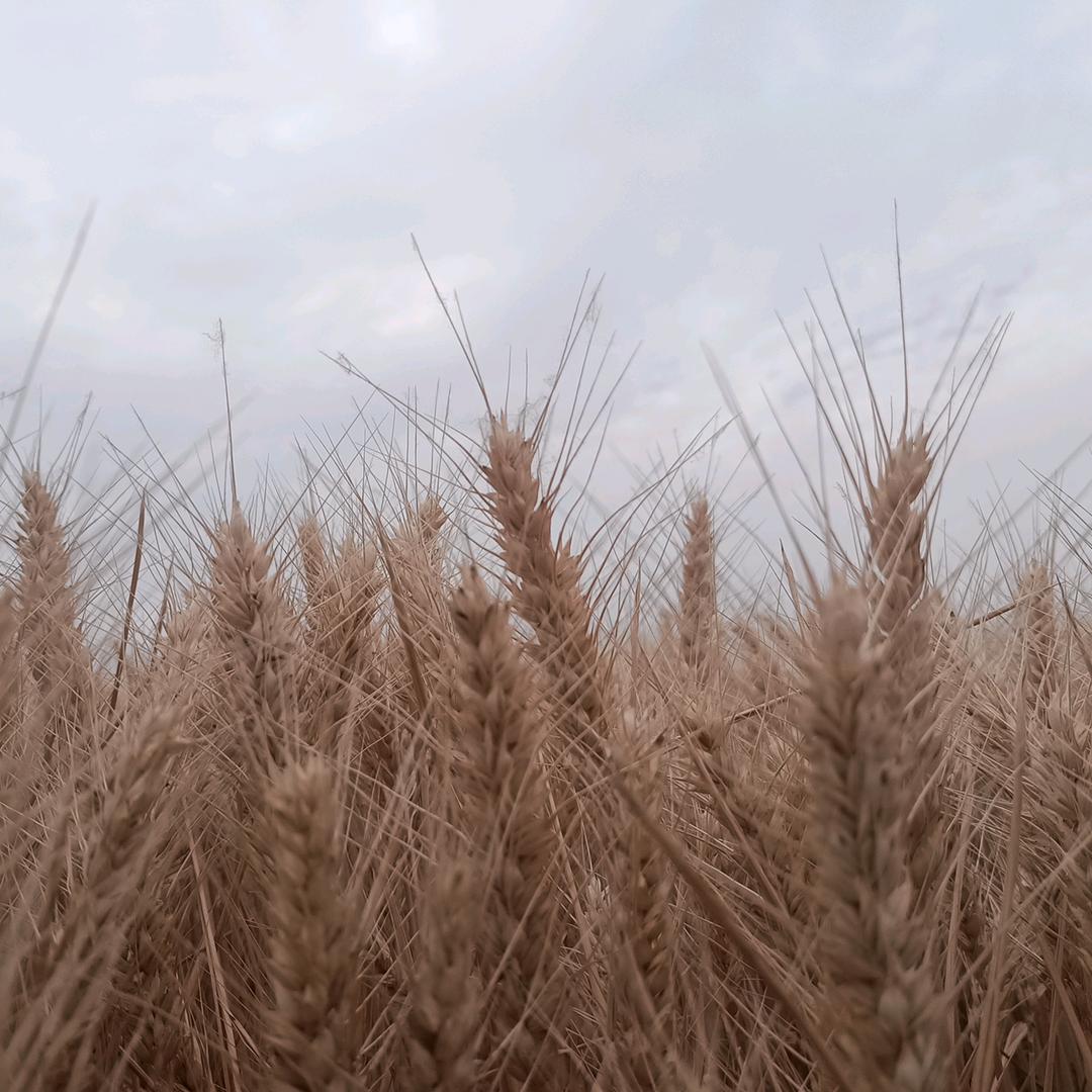 (◦˙▽˙◦)