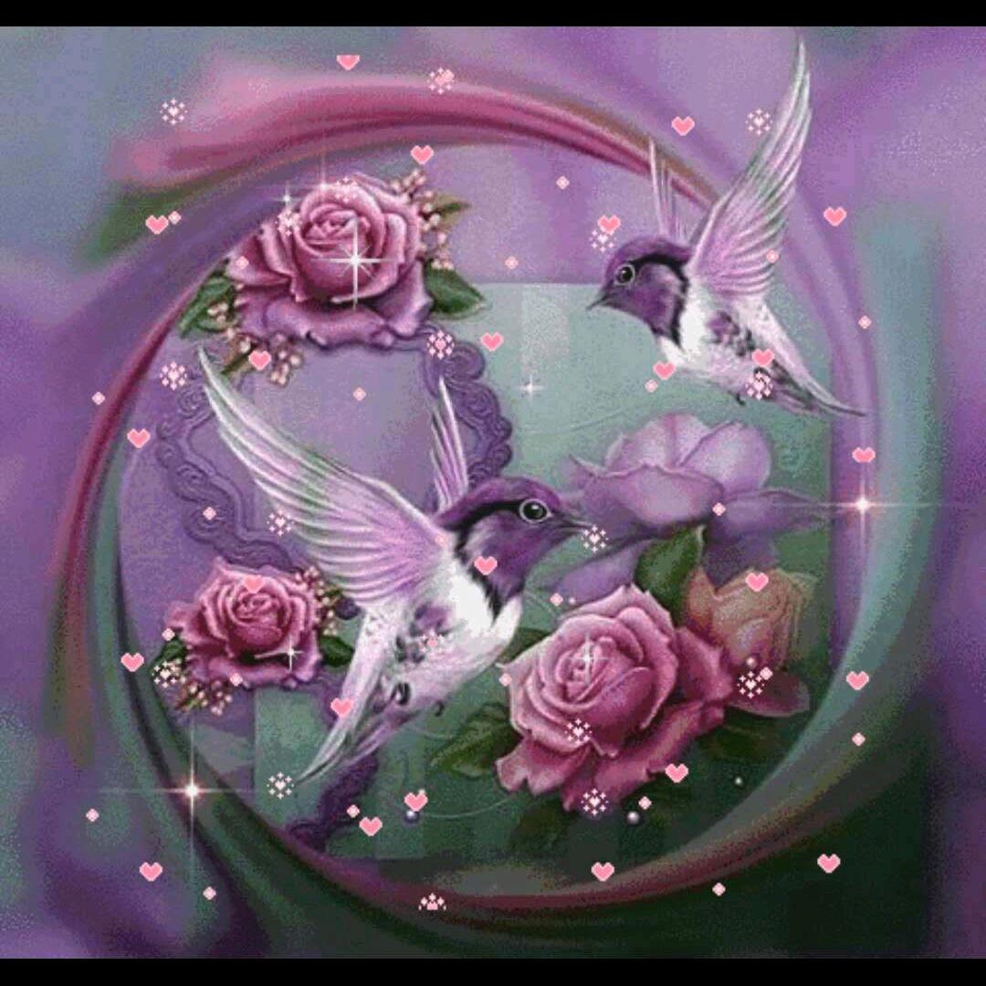 ꕥ᭄ꦿ艳ঞ🌸️