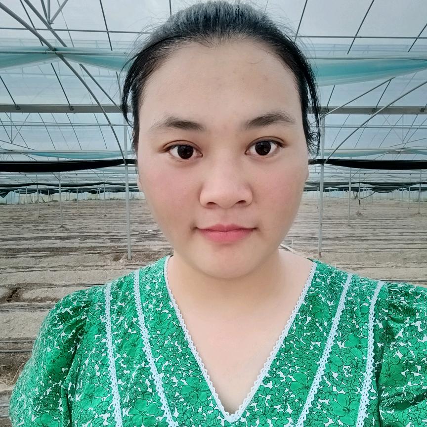 a种菜的玲子