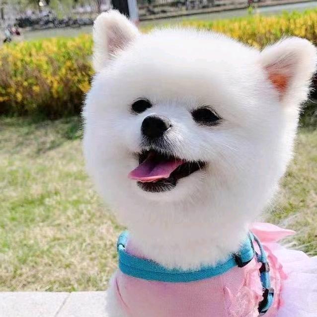 努力奋斗