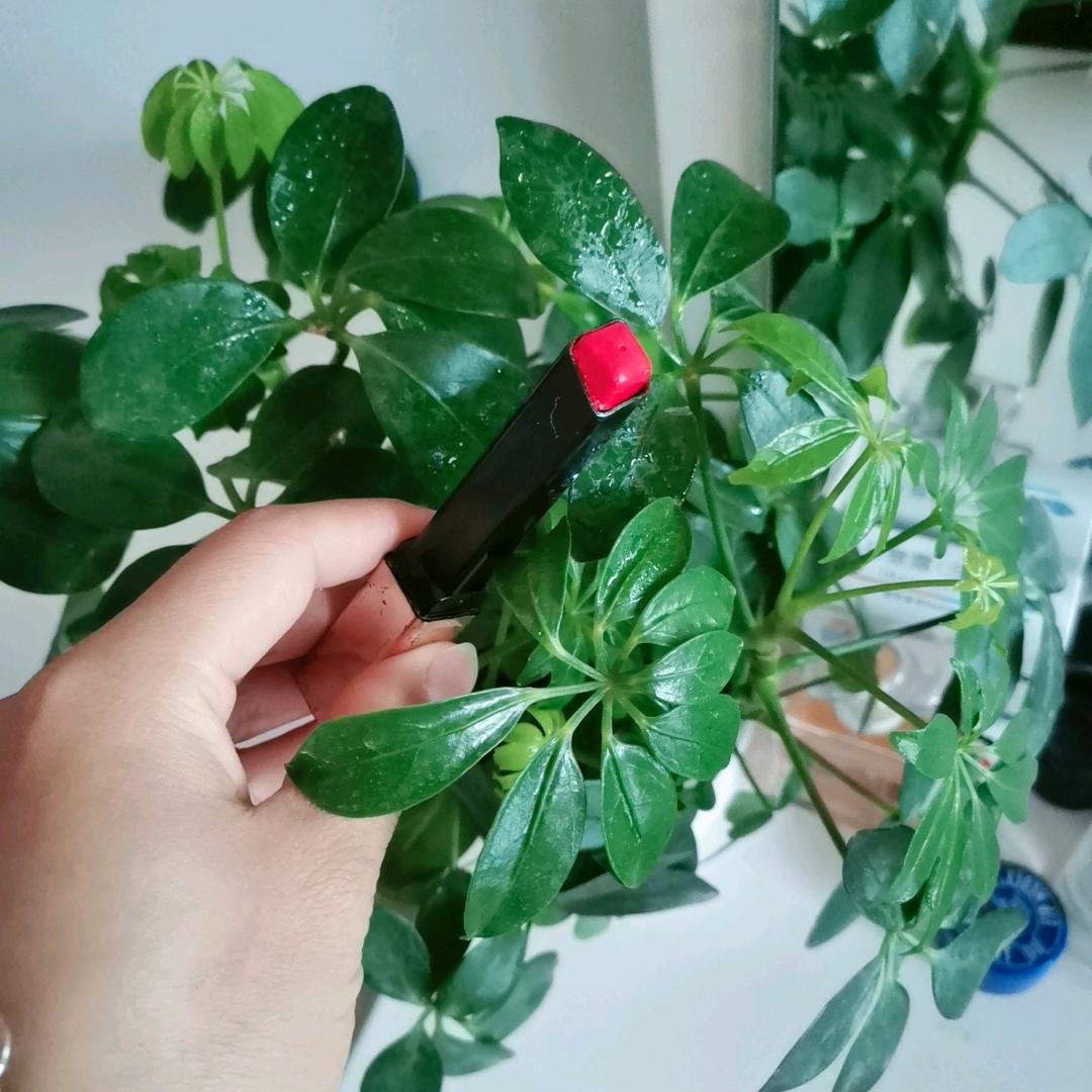 A活的漂亮