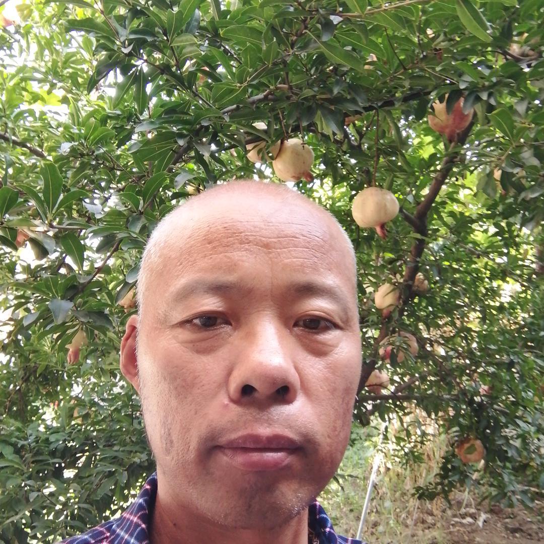 农民光明顺口溜大实话