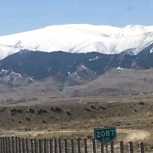 绿色家禽养殖场