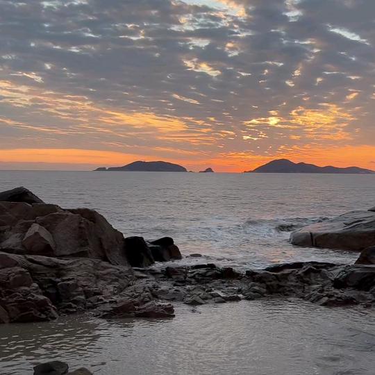 女人花6659815915144