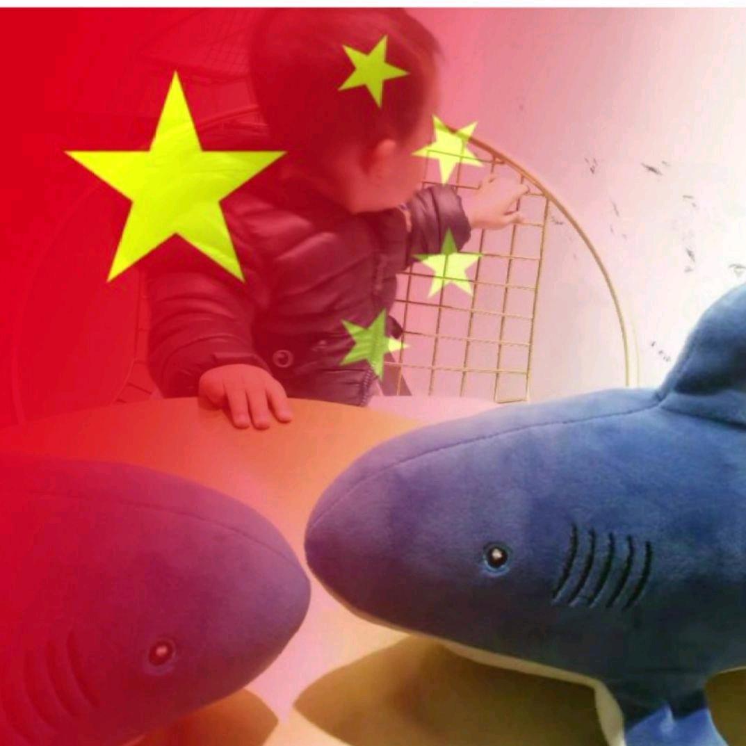 ✨一路风尘✨