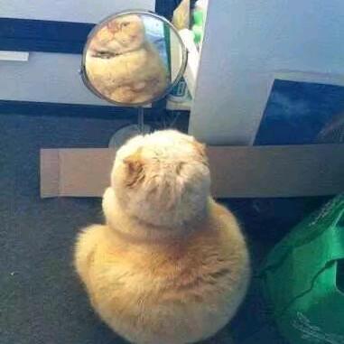 呛啷啷拔出宝剑☀